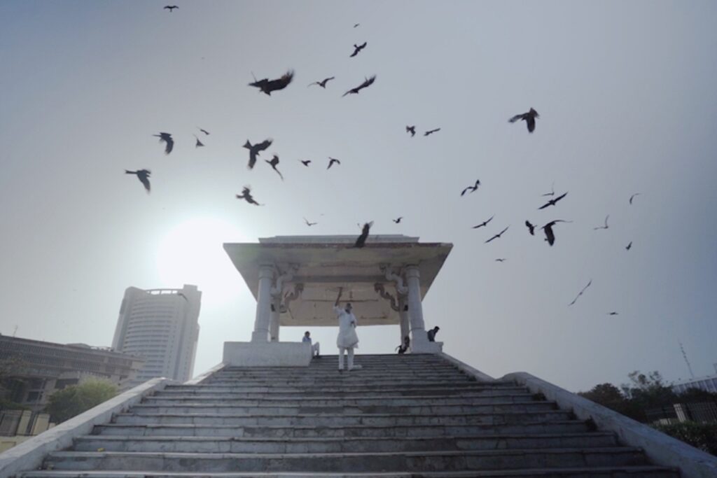 Photo of a man feeding flying birds at the top of an open stone stairway. Photo is from the film All that Breathes.